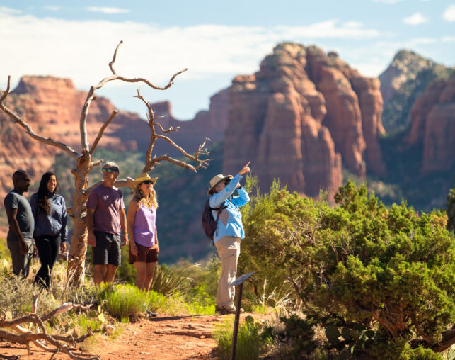 Bird Watching Hike in Sedona, hikers with binoculars