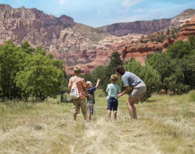 two kids and camp counselor in grassy field looking out at mountains