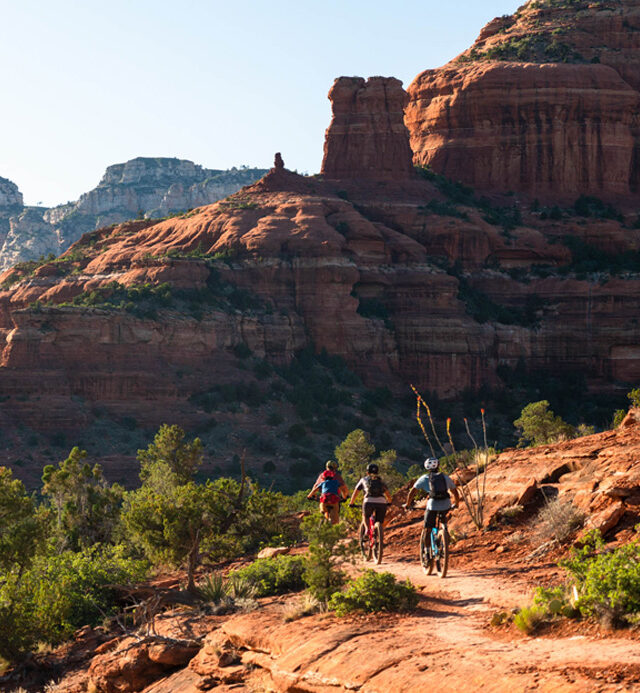 mountain bikers in sedona