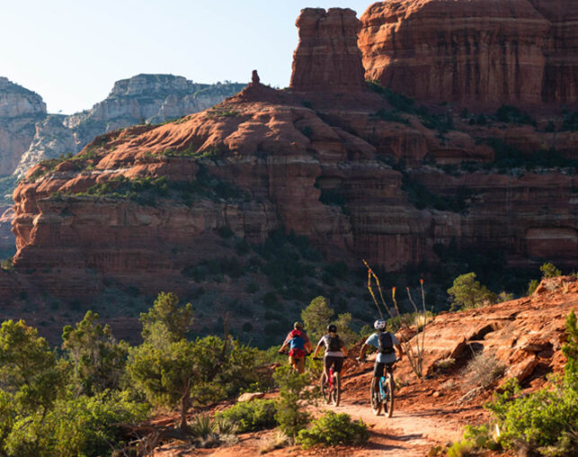 mountain bikers in sedona