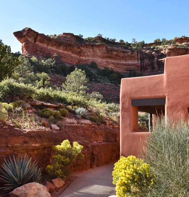 casita with yellow flowers and red rocks