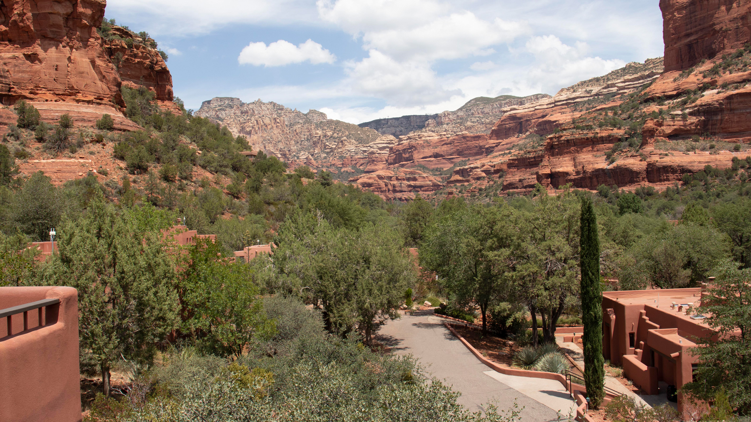 trees and red rock canyon