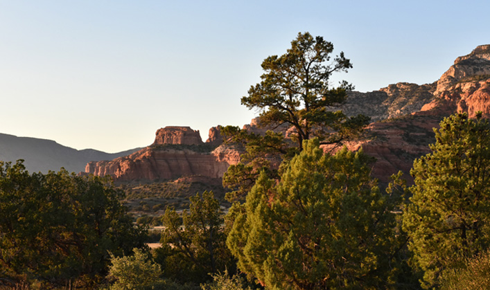 dusk in the red rocks with trees and blue sky