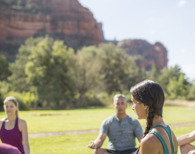 people sitting outside doing yoga