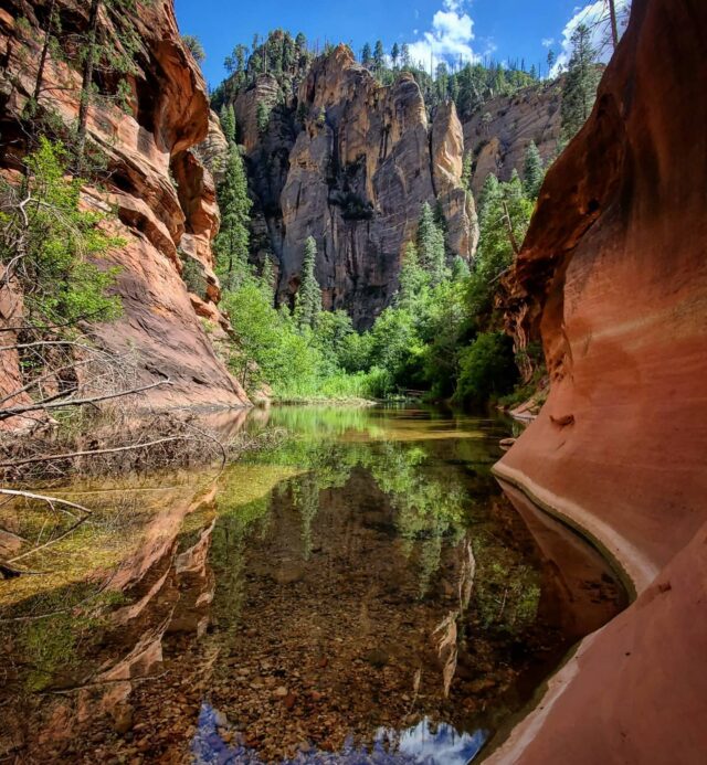 water in Oak Creek Canyon with green trees and towering cliffs, blue sky