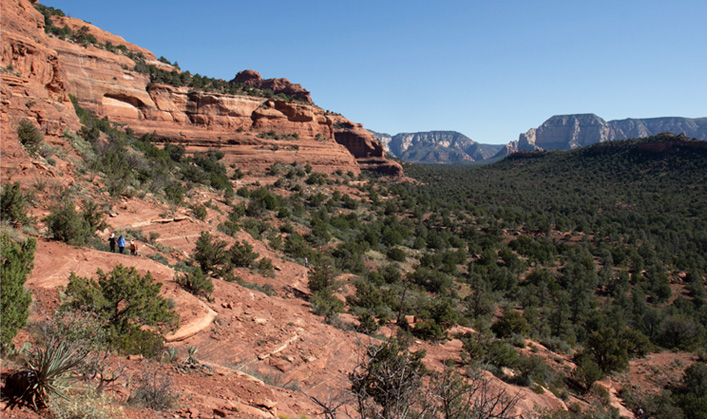 hikers on red rock trail with green shrubs
