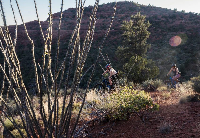 women mountain bikers on trail in Sedona with Ocotillo