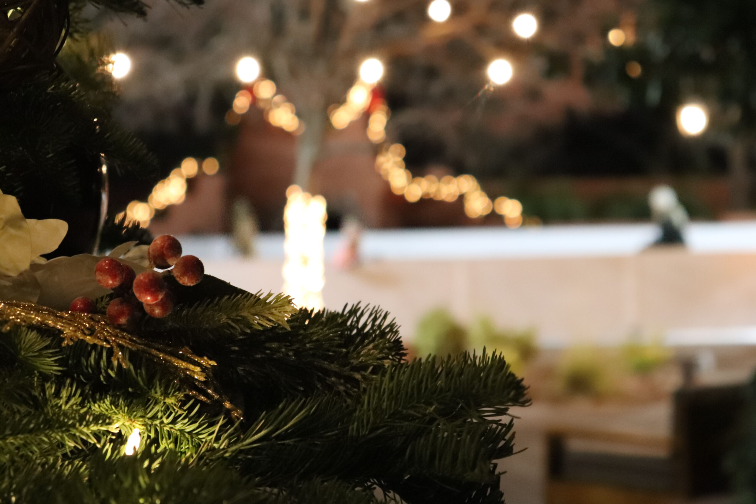 holiday tree branch close up with lights in background