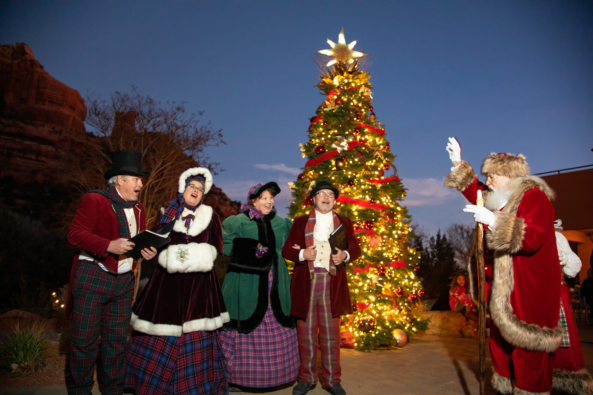 tree lighting