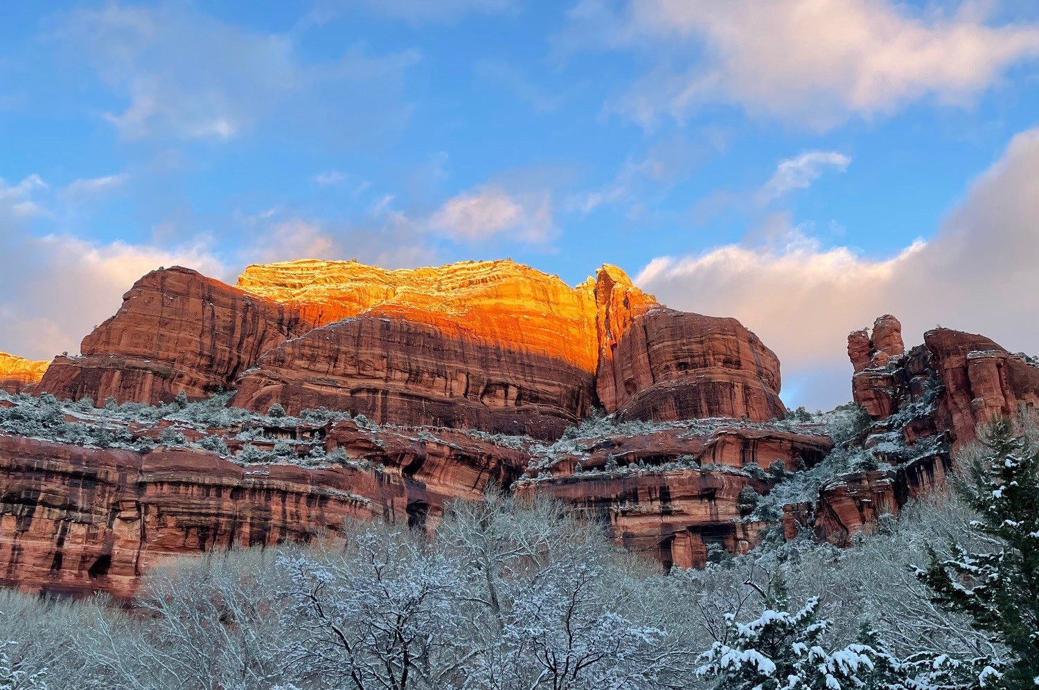 snow in the canyon