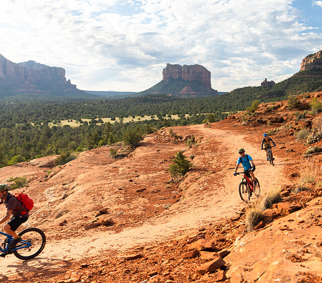 mountain bikers on dirt trail