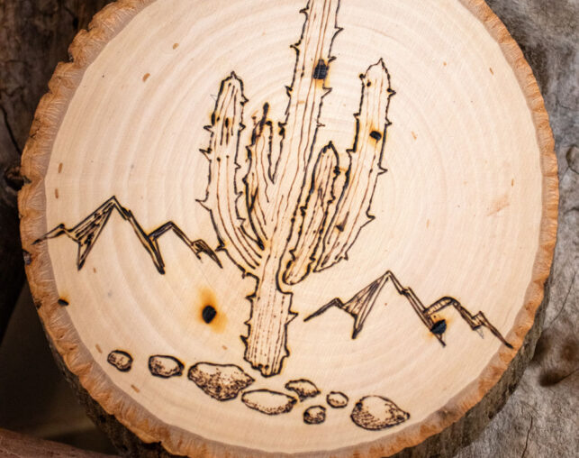 cactus image, woodburning class