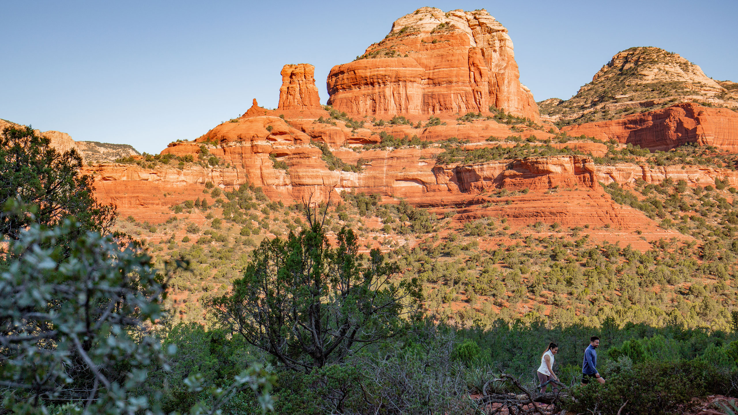 hikers on trail
