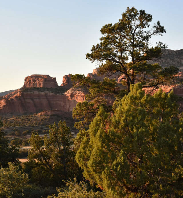 sunrise on red rocks