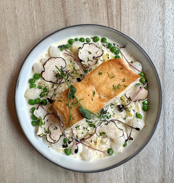 halibut