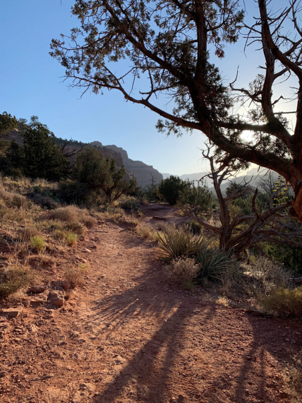 trail in sedona
