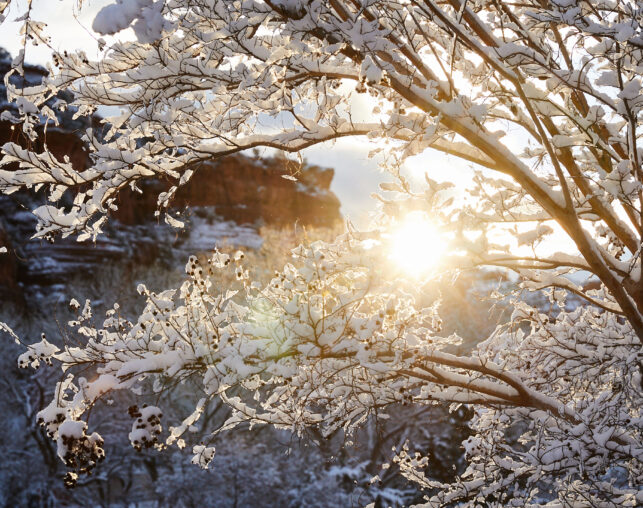 sun coming up over the snowy sedona red rocks