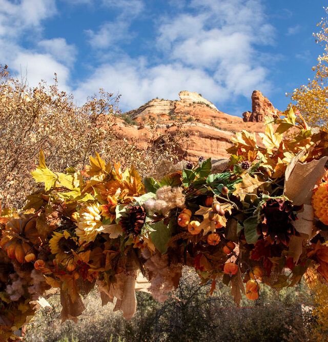 fall colors in the canyon